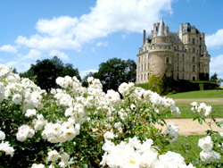 Castello di Brissac Val de Loire - Angers